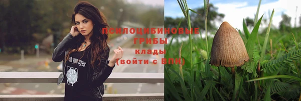 трава Абдулино