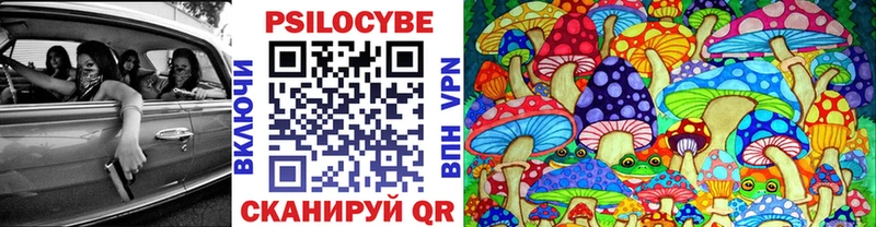 Галлюциногенные грибы Cubensis Брюховецкая
